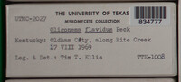 Image Associated With the Occurence